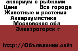 аквариум с рыбками › Цена ­ 1 000 - Все города Животные и растения » Аквариумистика   . Московская обл.,Электрогорск г.